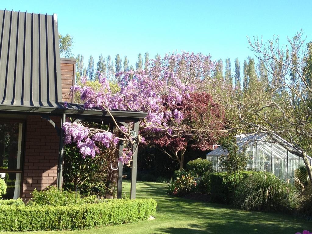 Rhododendron Garden Hotel Christchurch Phòng bức ảnh
